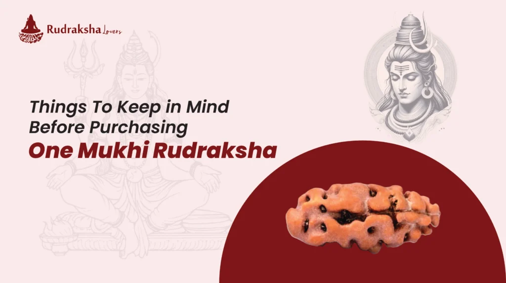 Things To Be Kept In Mind Before Buying One Mukhi Rudraksha