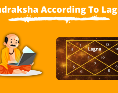 How To Identify Original Rudraksha | Clear All Your Doubts