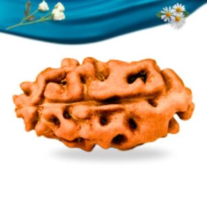 1 Mukhi Indonesian Rudraksha Regular Grade RLRI1RI Thumbnail