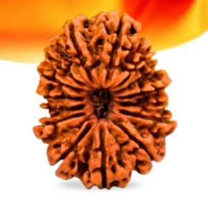 15 Mukhi Nepali Rudraksha Small Grade RLRN15SI Thumbnail