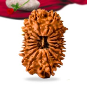 18 Mukhi Nepali Rudraksha Collector Grade RLRN18CI Thumbnail