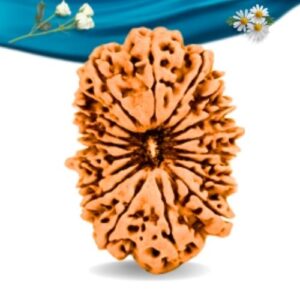 18 Mukhi Nepali Rudraksha Regular Grade RLRN18RI Thumbnail