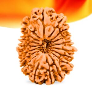 18 Mukhi Nepali Rudraksha Small Grade RLRN18SI Thumbnail