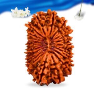 20 Mukhi Nepali Rudraksha Super Collector Grade RLRN20SCI Thumbnail