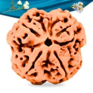 4 Mukhi Nepali Rudraksha Regular Grade RLRN4RI Thumbnail