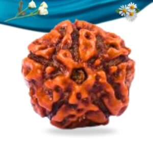 5 Mukhi Indonesian Rudraksha Regular Grade RLRI5RI Thumbnail