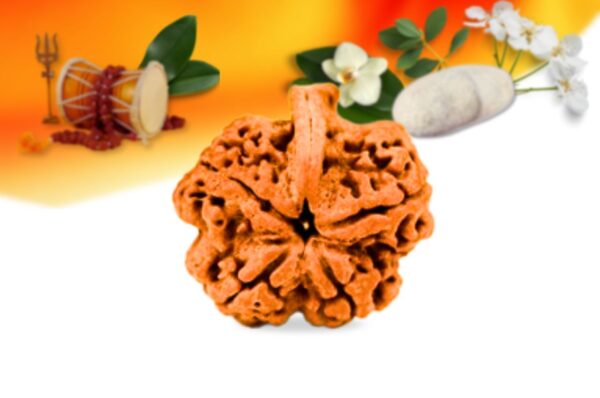 Ganesh rudraksha small grade rlrng5si front