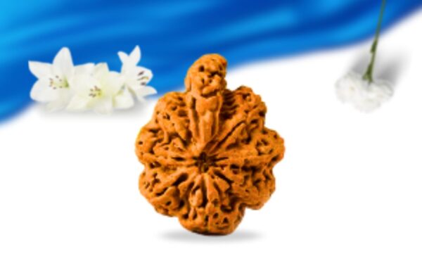 Savar naag nepali rudraksha super collector grade rlrnsnsci front