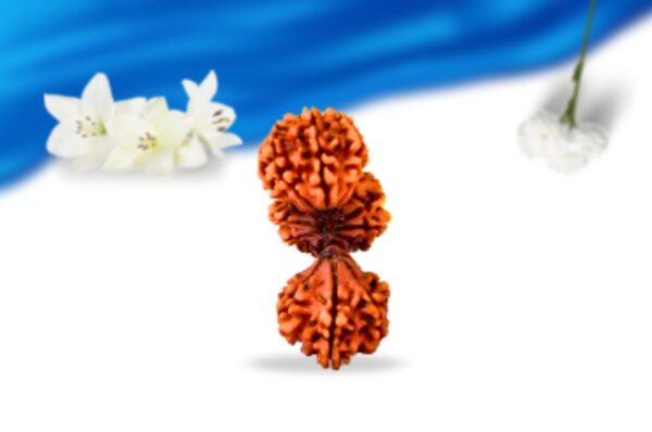 Trijuti Nepali Rudraksha Super Collector Grade RLRNTSCI Front