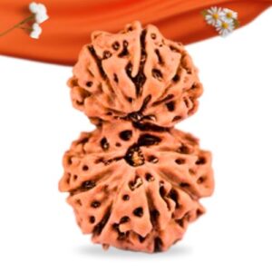 Gauri Shankar Indonesian Rudraksha Large Grade RLRIGSLI Thumbnail