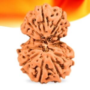 Gauri Shankar Indonesian Rudraksha Small Grade RLRIGGRI Thumbnail