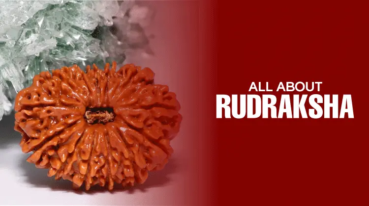 All About Rudraksha