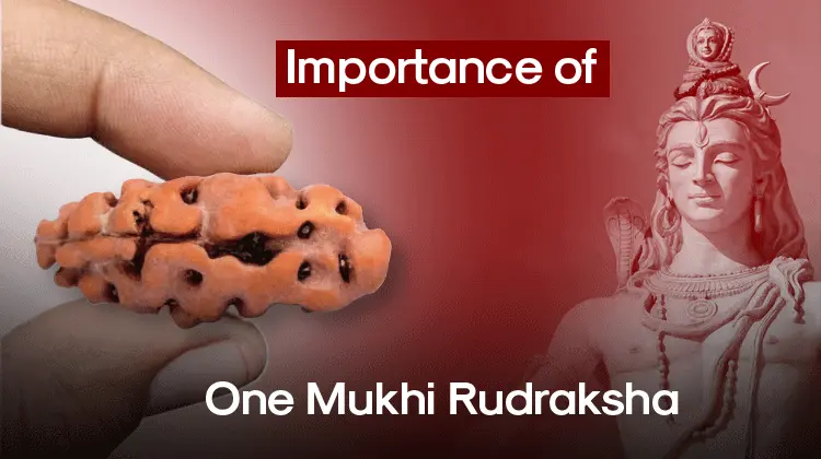 Importance of One Mukhi Rudraksha