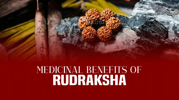 Medicinal Benefits Of Rudraksha