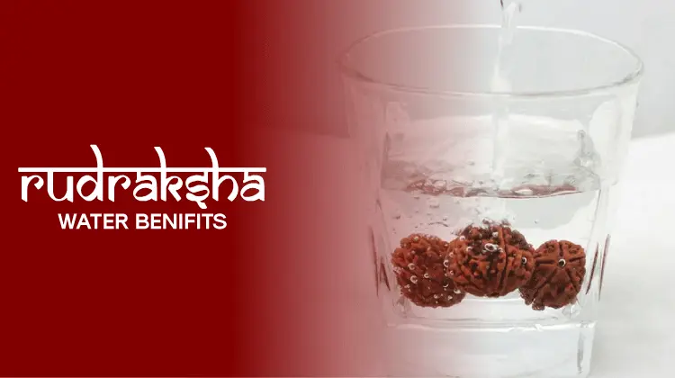 Rudraksha Water Benifits