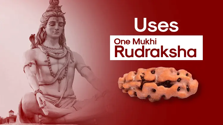 Uses of One Mukhi Rudraksha