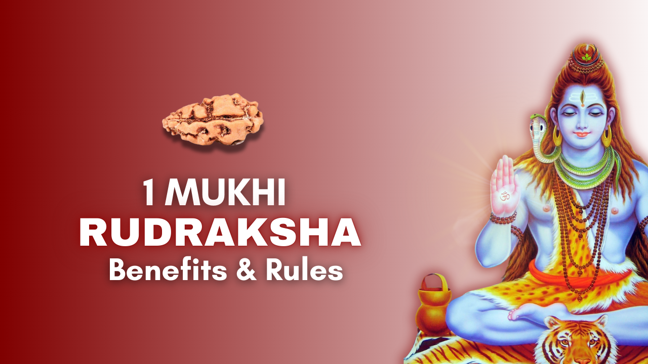 1 Mukhi Rudraksha Featured Image