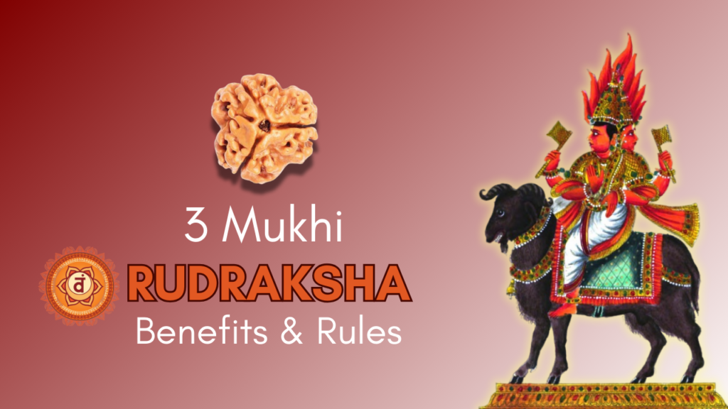 3 Mukhi Rudraksha Featured Image