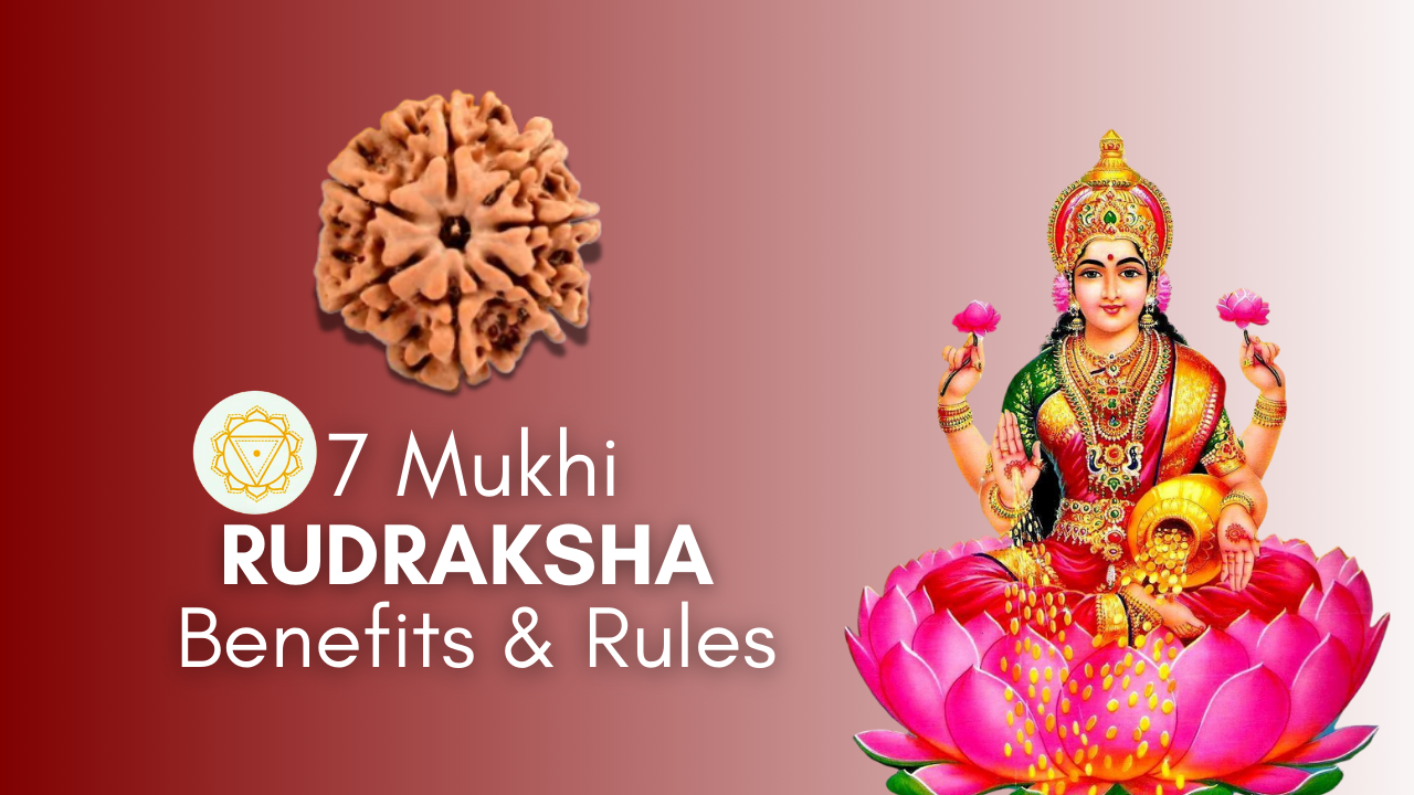 7 Mukhi Rudraksha Featured Image