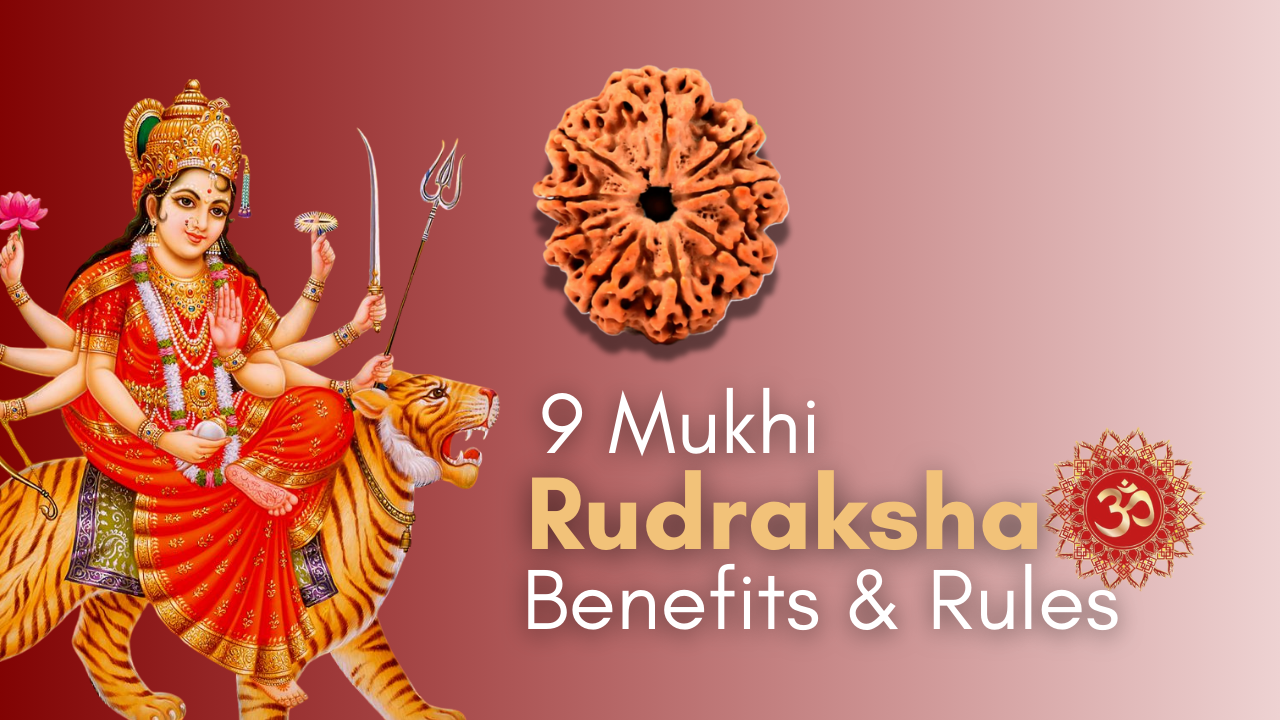 9 Mukhi Rudraksha Featured Image