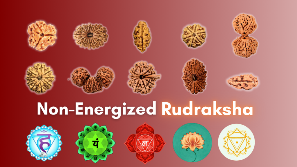 Non Energized Rudraksha Featured Image