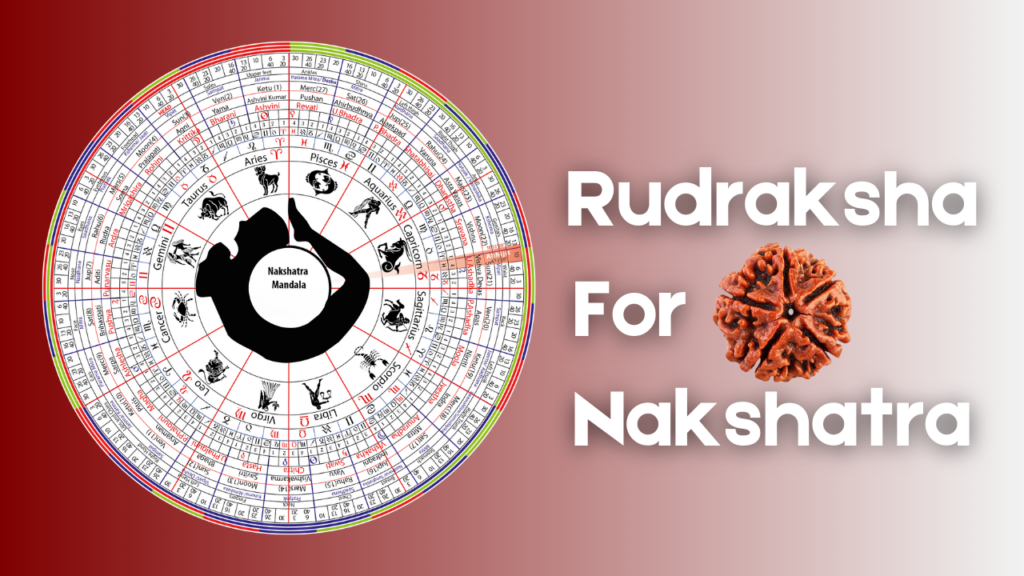 Rudraksha For Nakshatra Featured Image