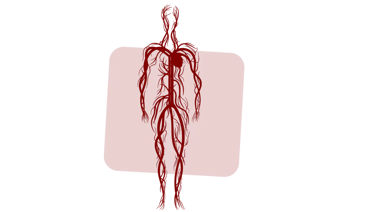 Measures to treat instability in blood pressure and risk of heart ailments