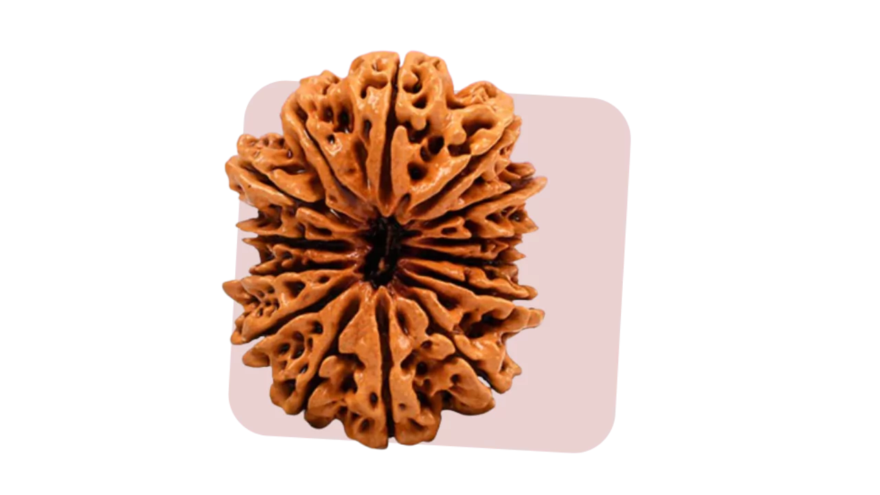 14 Mukhi Rudraksha symbolizes spiritual mastery and divine connection