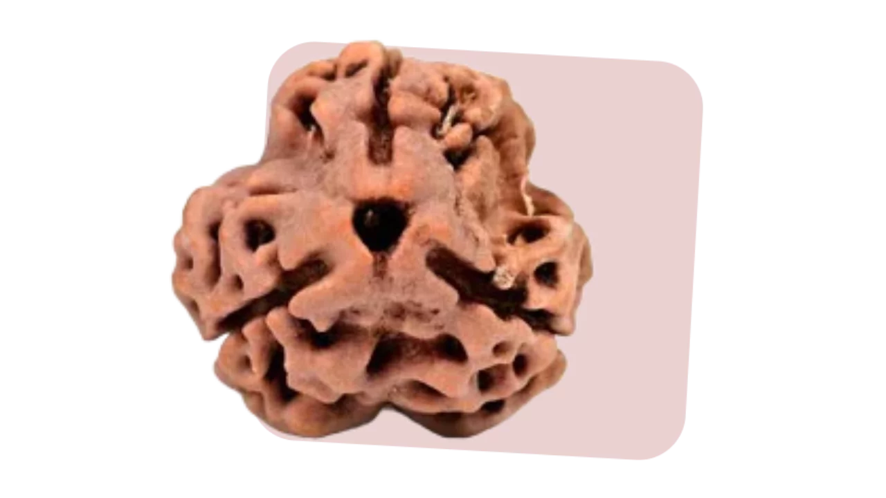 3 Mukhi Rudraksha boosts self-confidence and past traumas