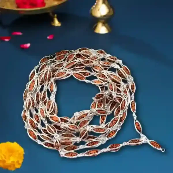 1 mukhi rudraksha mala in silver - image 2