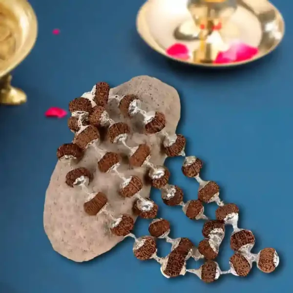 11 mukhi rudraksha mala in silver - image 2