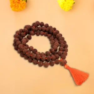 11 Mukhi Rudraksha Mala