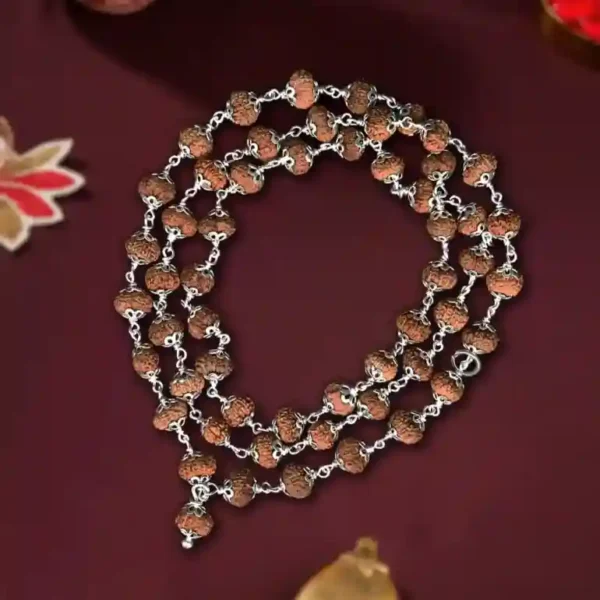 12 mukhi rudraksha mala in silver - image 2