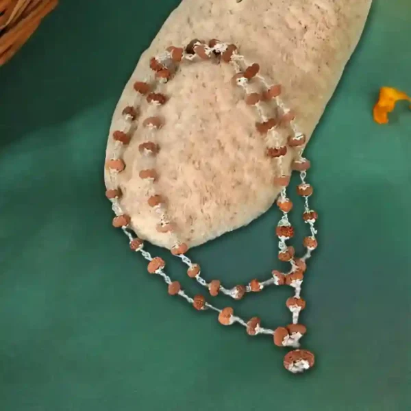 13 mukhi rudraksha mala in silver - image 2
