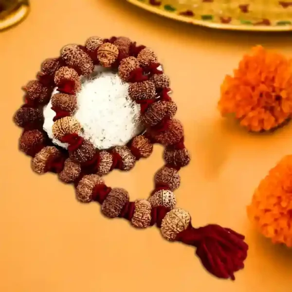 13 mukhi rudraksha nepali kantha mala - image 2