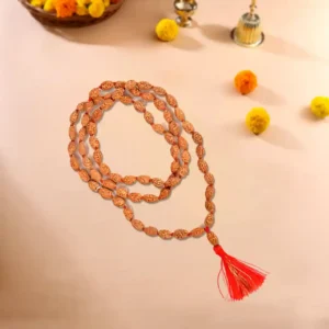 2 Mukhi Rudraksha Mala