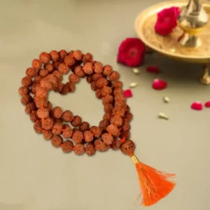 6 Mukhi Rudraksha Mala