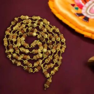 2 Mukhi Rudraksha Mala in Gold