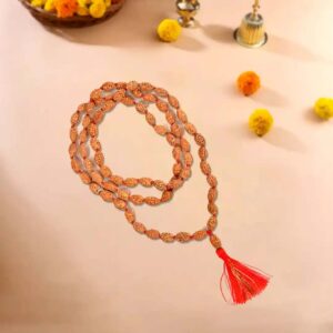 2 Mukhi Rudraksha Mala in Thread