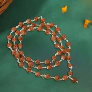 6 Mukhi Rudraksha Mala in Silver