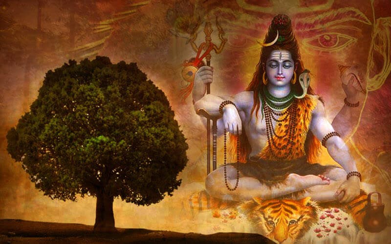 Rudraksha Symbolizes Lord Shivas Divinity A rudraksha tree with a background showing lord shiva sitting, wearing rudraksha