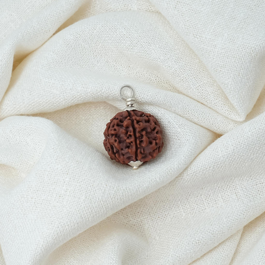 Sacred Rudraksha On Cotton Cloth A single bead rudraksha on a pure cotton cloth.