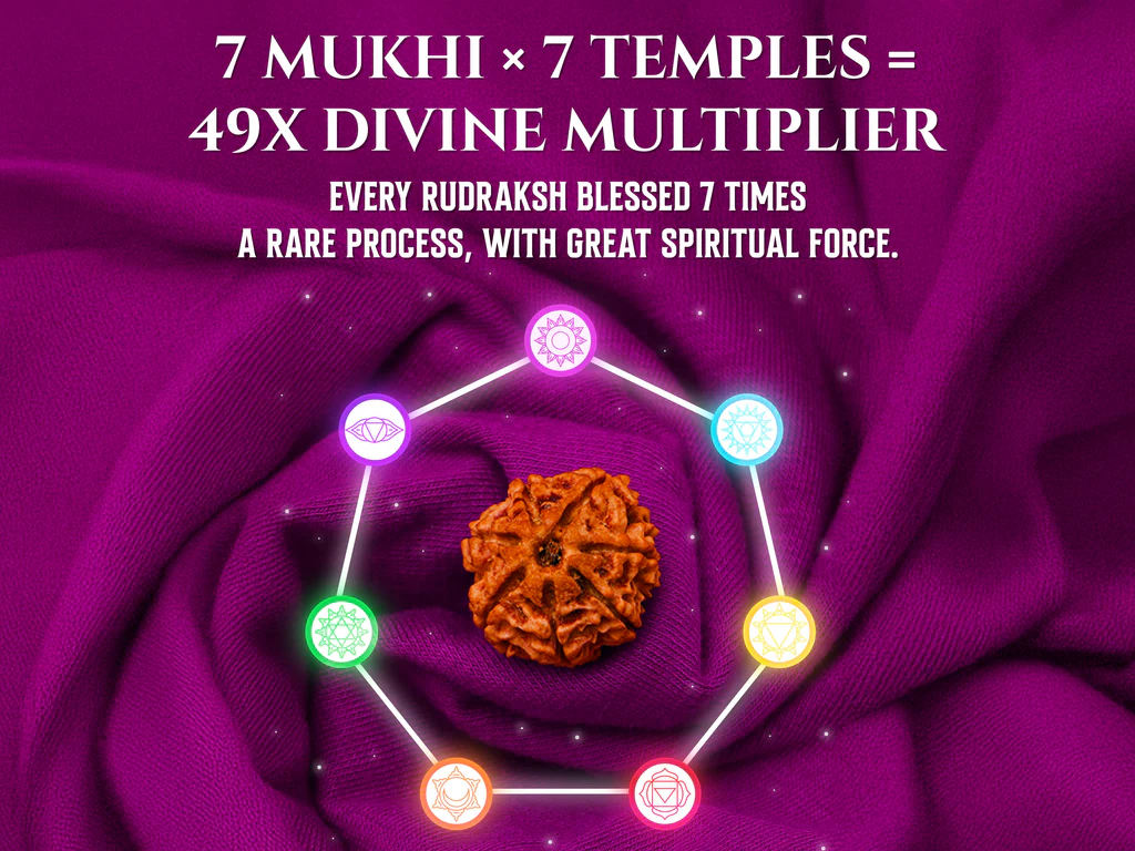 Spiritually Energized Rudraksha Bead Illustration of a rudraksha bead that is blessed with spiritual energies