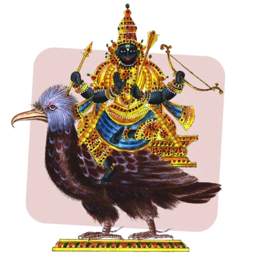 Best rudraksha for removing the negative impacts of saturn planet