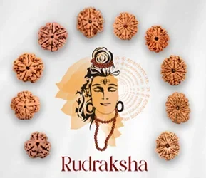 expert-guidance-by-jhivansh-ji-on-rudraksha.webp