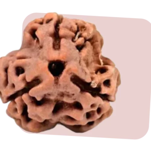 3 mukhi rudraksha boosts self-confidence and past traumas